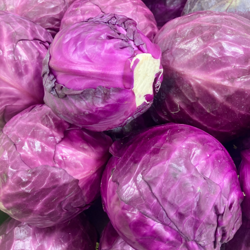 Cabbage red