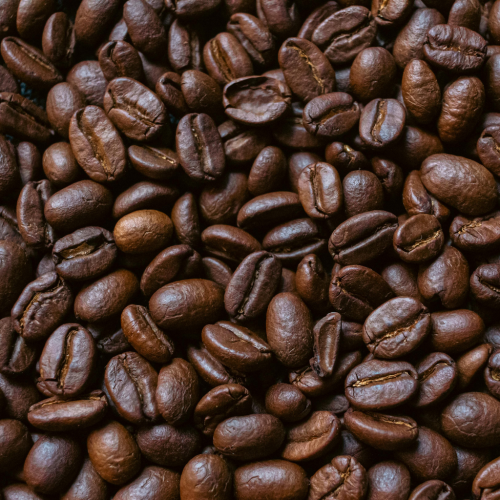 Gayo Coffee
