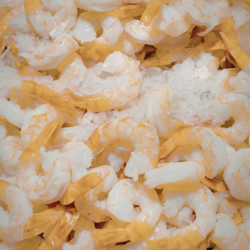 Peeled Shrimp