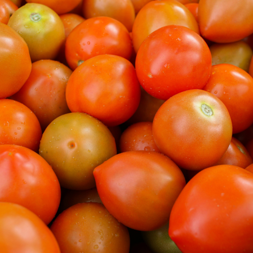 Tomato
